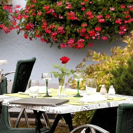 Logis Hotel-restaurant De La Poste 2* Urmatt